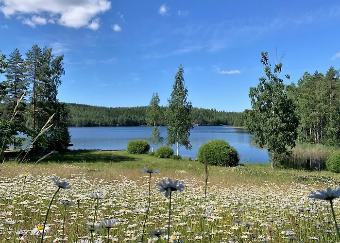 Horská chata Lappalaisen Lomamoekit Pihamoekki